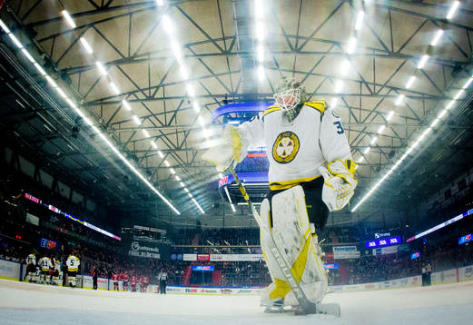 Brynäs målvakt David Rautio
