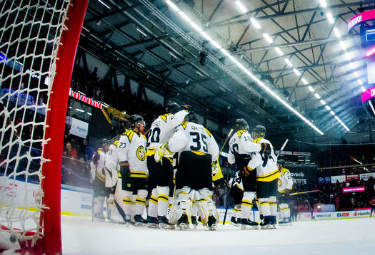 Brynäs jublar