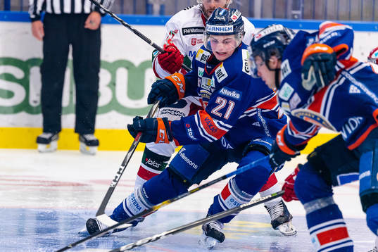 Växjös Filip Cederqvist