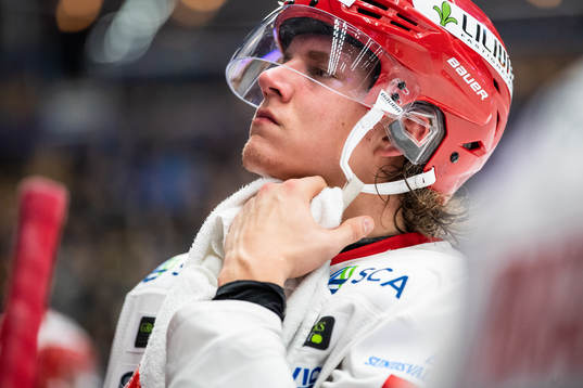 Timrås Alexander Falk