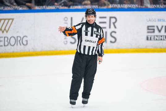 Domare Wolmer Edqvist