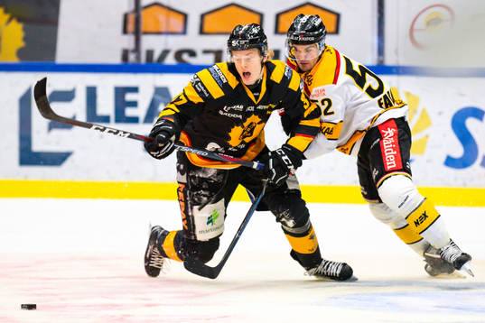 Skellefteås Albin Eriksson och Luleås Karl Fabricius