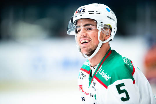 Rögles Alen Bibic