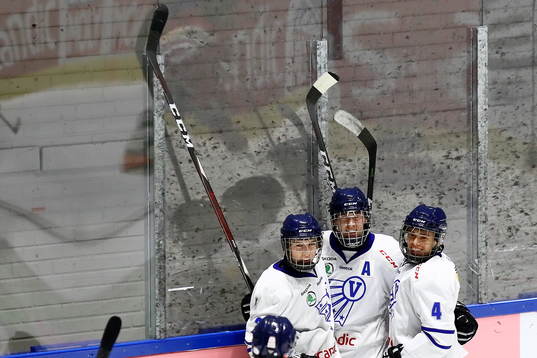 Västerbottens spelare jublar