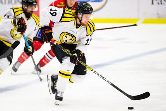 Brynäs Ludvig Nilsson