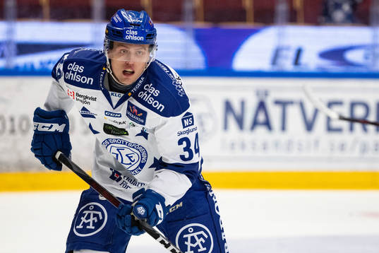 Leksands David Lundmark