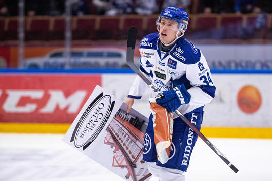Leksands David Lundmark