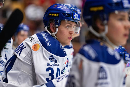 Leksands David Lundmark