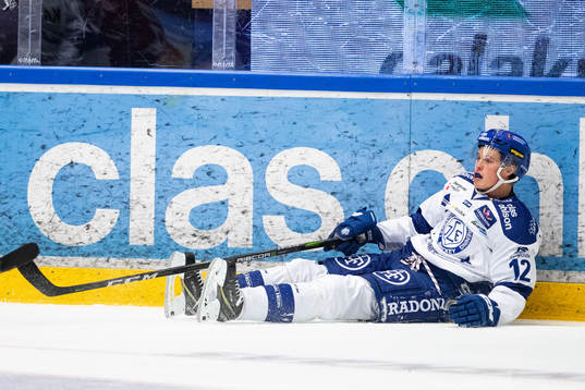 Leksands Wilde Bröms