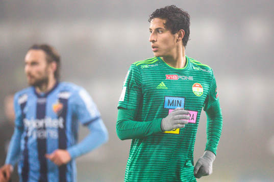 Dalkurds Ahmad Awad