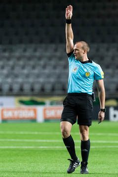 Domare Patrik Eriksson