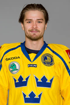 Linus Johansson of Sweden poses for a portrait