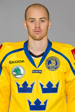 Daniel Brodin of Sweden poses for a portrait