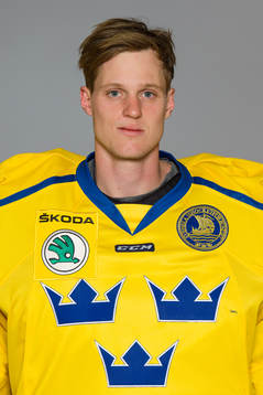 Goalkeeper Lars Johansson of Sweden poses for a portrait