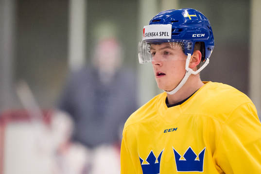 Jesper Sellgren