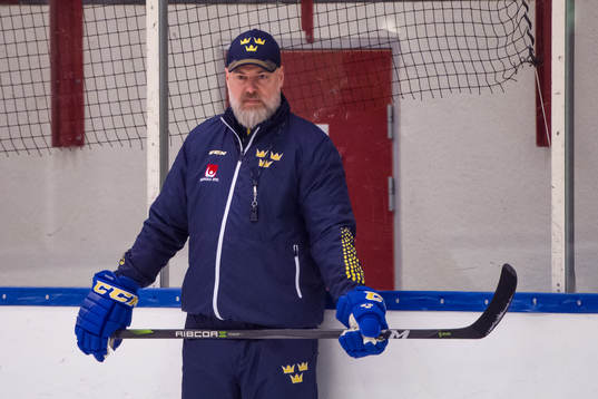 Förbundskapten Rikard Grönborg