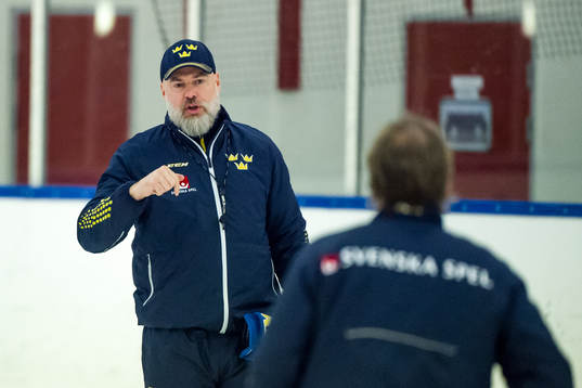 Förbundskapten Rikard Grönborg