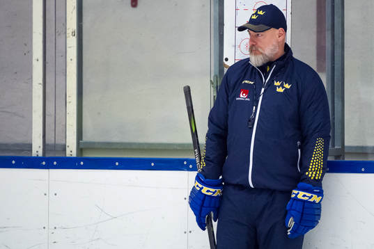 Förbundskapten Rikard Grönborg