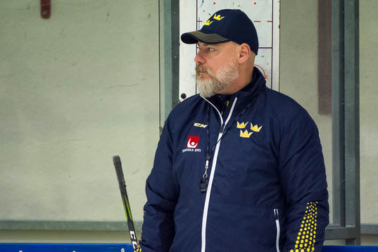 Förbundskapten Rikard Grönborg