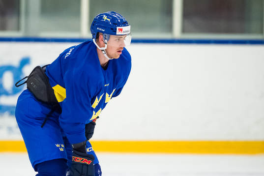 Daniel Brodin