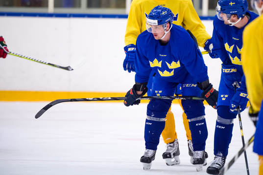 Daniel Brodin