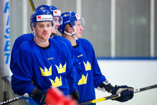 Daniel Brodin
