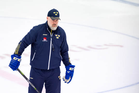 Förbundskapten Rikard Grönborg