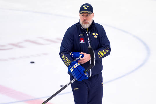 Förbundskapten Rikard Grönborg