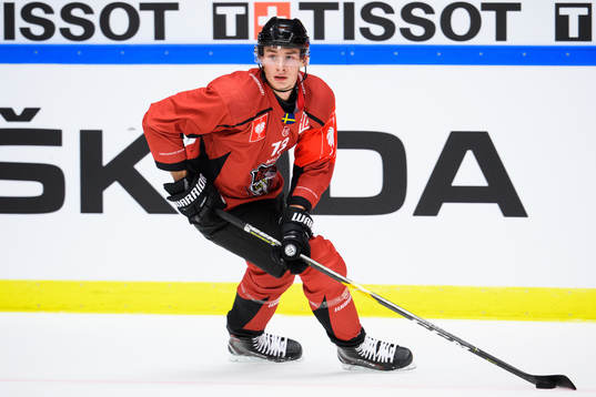 Simon Ericsson of Malmö Redhawks