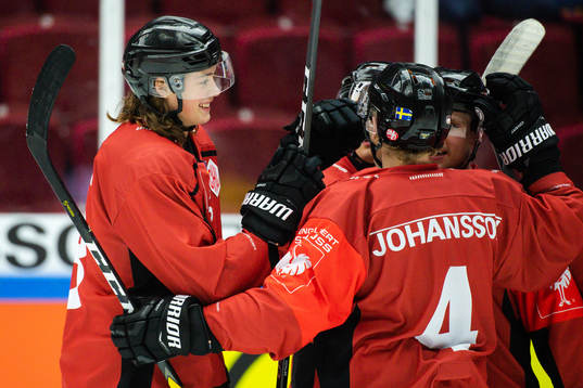 Malte Setkov of Malmö Redhawks celebrates with teammates