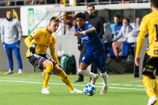 Chelseas Ian Maatsen och Elfsborgs Alexsandar Ceganjac