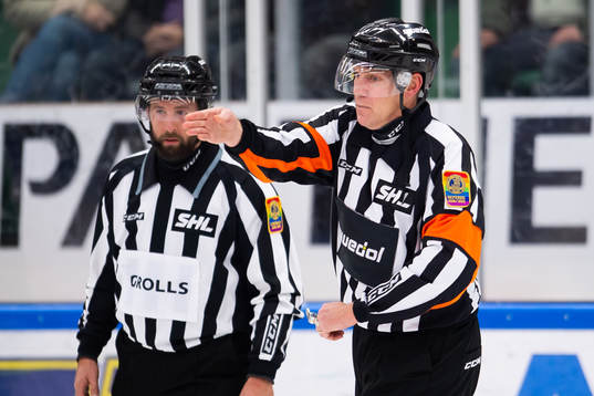 Domare Morgan Johansson domer mål