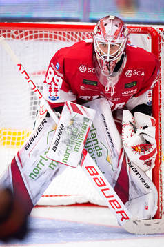 Timrås målvakt Niklas Svedberg