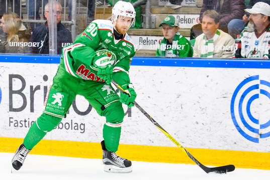 Rögles Ted Brithén