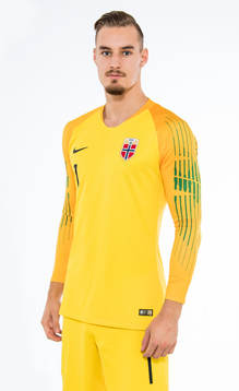 Goalkeeper Kjetil Haug of Norway poses for a portrait