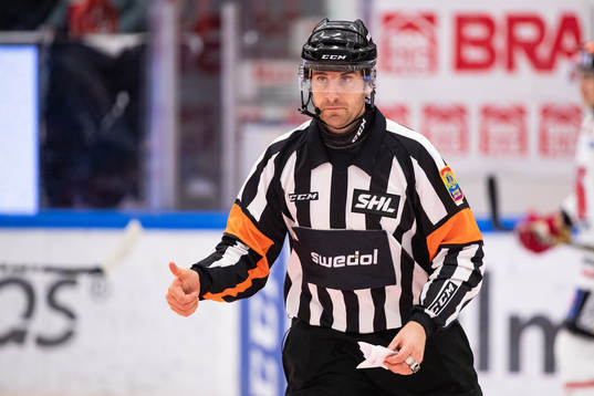 Domare Michael Sjöqvist