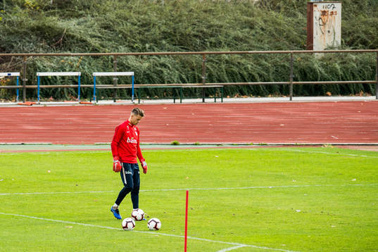 Goalkeeper Ørjan Håskjold Nyland of Norway