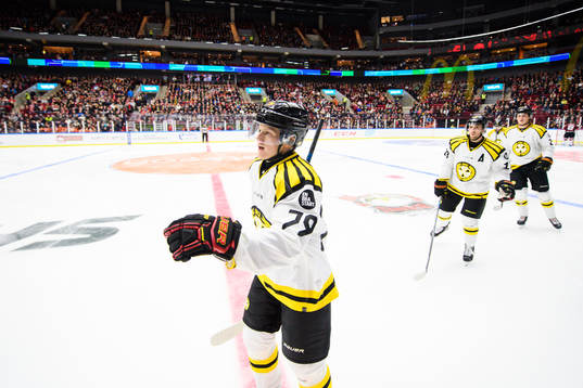 Brynäs Daniel Mannberg jublar