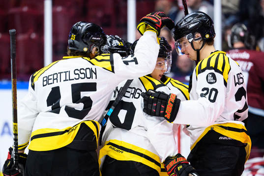 Brynäs spelare jublar