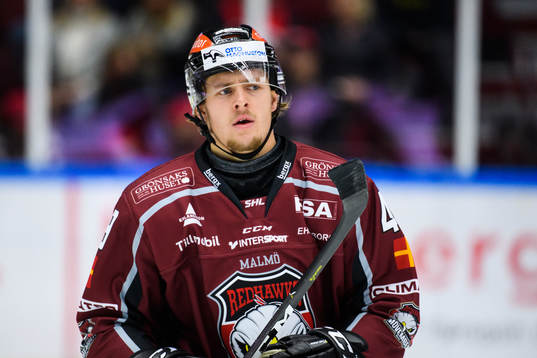 Malmö Redhawks Carl Persson