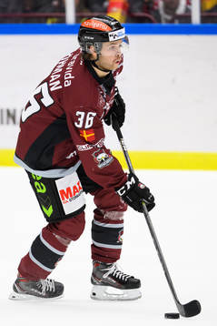 Malmö Redhawks Anton Öhman