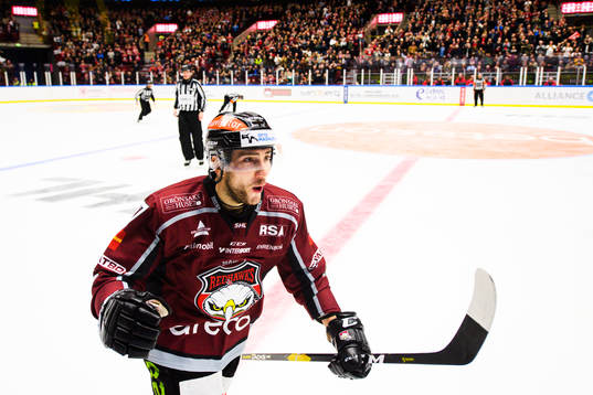 Malmö Redhawks Konstantin Komarek jublar