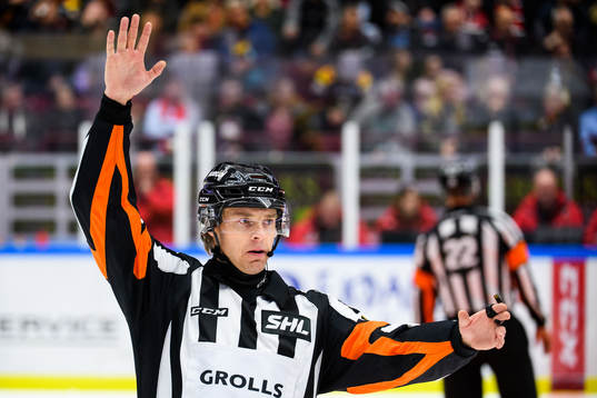 Domare Mikael Andersson