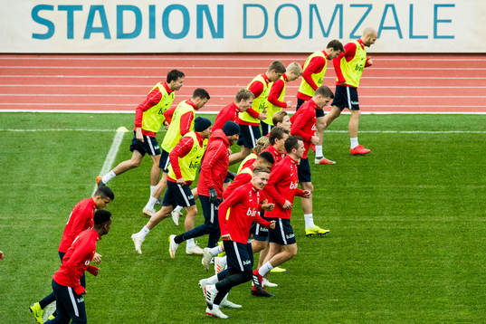 Stefan Johansen and the players of Norway