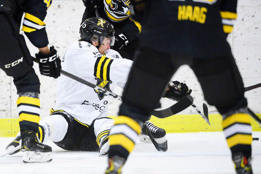 s Max Lindholm
