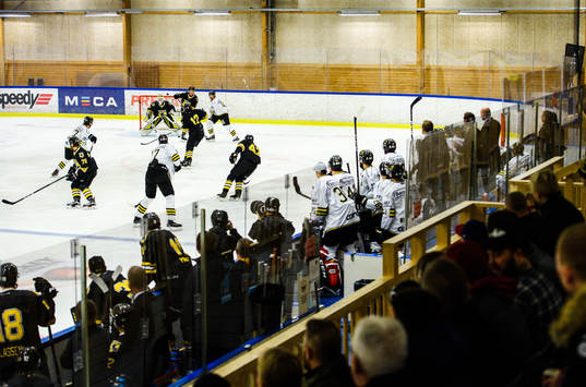 Vybild över ishockeymatchen i Hockeyallsvenskan mellan