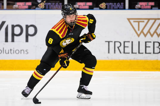 Brynäs Victor Söderström