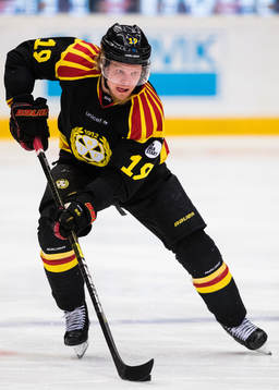 Brynäs Ludvig Nilsson