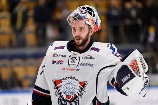 Linköpings målvakt Jonas Gustavsson