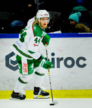 Rögles Olle Liss